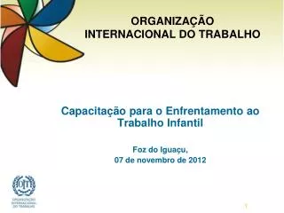 Capacitação para o Enfrentamento ao Trabalho Infantil Foz do Iguaçu, 07 de novembro de 2012