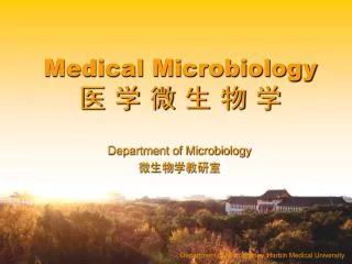 Department of Microbiology, Harbin Medical University