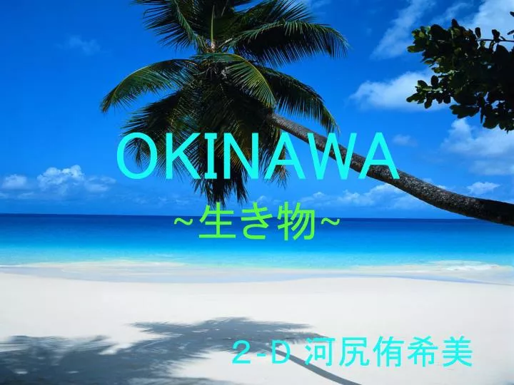 okinawa