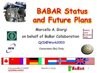 BABAR Status and Future Plans