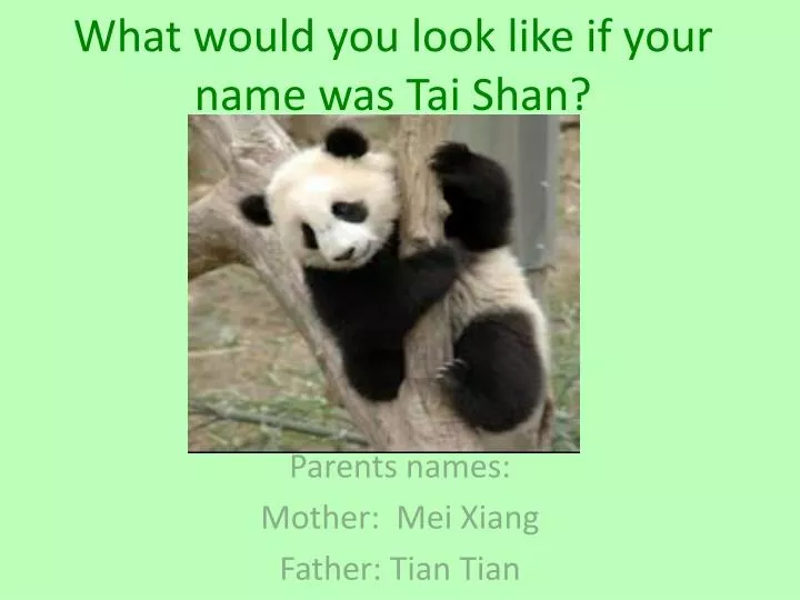 what would you look like if your name was tai shan