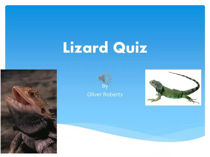 lizard quiz