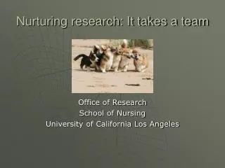 Nurturing research: It takes a team