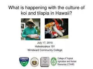 What is happening with the culture of koi and tilapia in Hawaii?