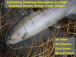 Estimating Steelhead Abundance in a High Sediment Stream: Bridge Creek, Oregon