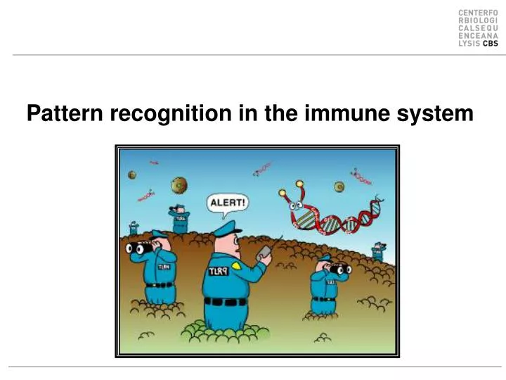pattern recognition in the immune system