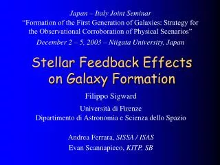 Stellar Feedback Effects on Galaxy Formation