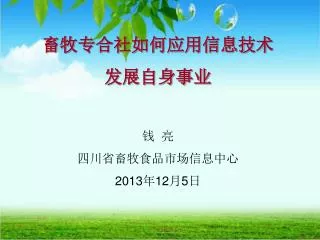 畜牧专合社如何应用信息技术 发展自身事业 钱 亮 四川省畜牧食品市场信息中心 2013年12月5日