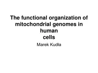 the functional organization of mitochondrial genomes in human cells