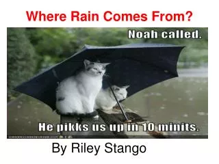 Where Rain Comes From?