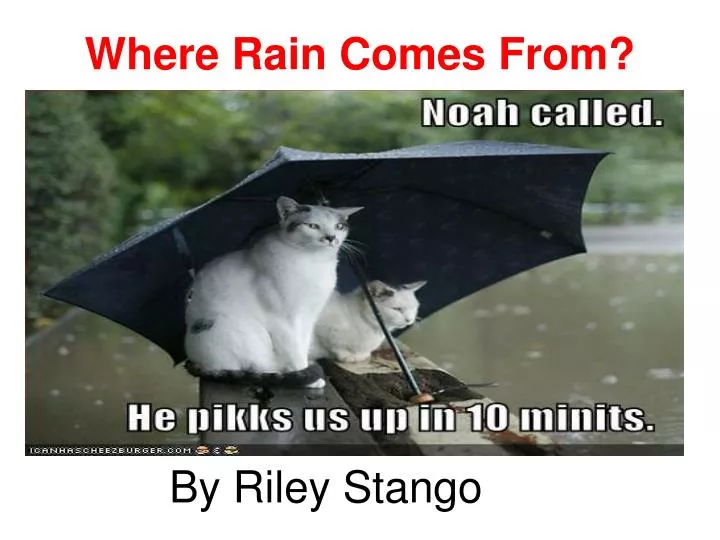 where rain comes from