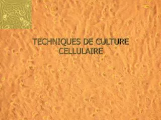 TECHNIQUES DE CULTURE CELLULAIRE
