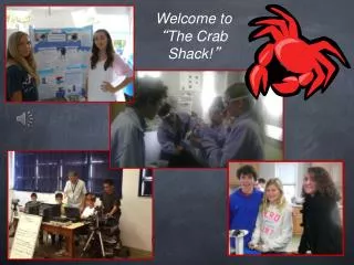 Welcome to “ The Crab Shack! ”