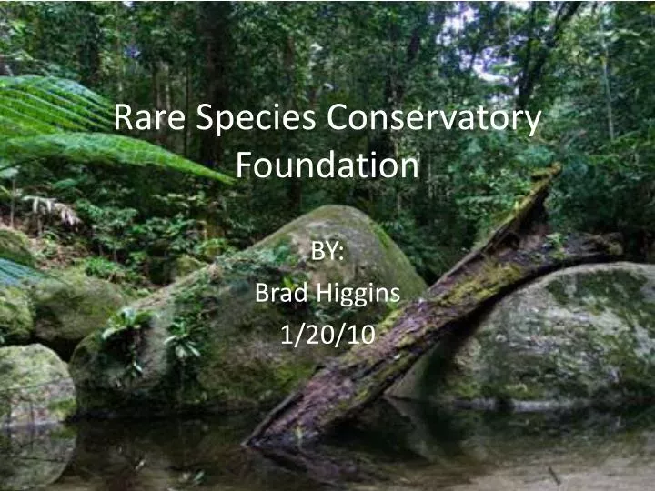 rare species conservatory foundation