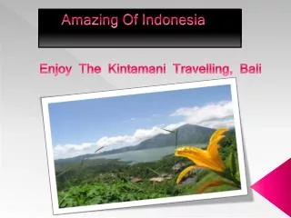 Amazing Of Indonesia