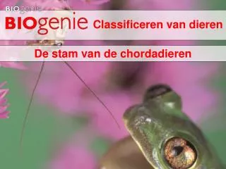 classificeren van dieren