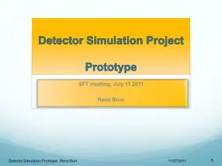 Detector Simulation Project Prototype