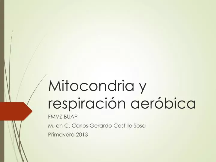 mitocondria y respiraci n aer bica