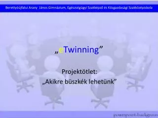 e twinning