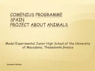 Comenius Programme Spain Project about animals