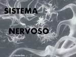 SISTEMA NERVOSO - slide 1