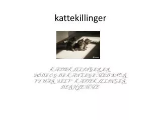 kattekillinger