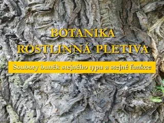 BOTANIKA ROSTLINNÁ PLETIVA