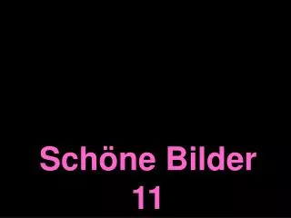 sch ne bilder 11