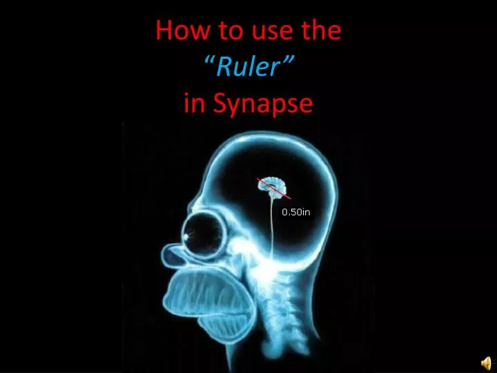 how to use the ruler in synapse