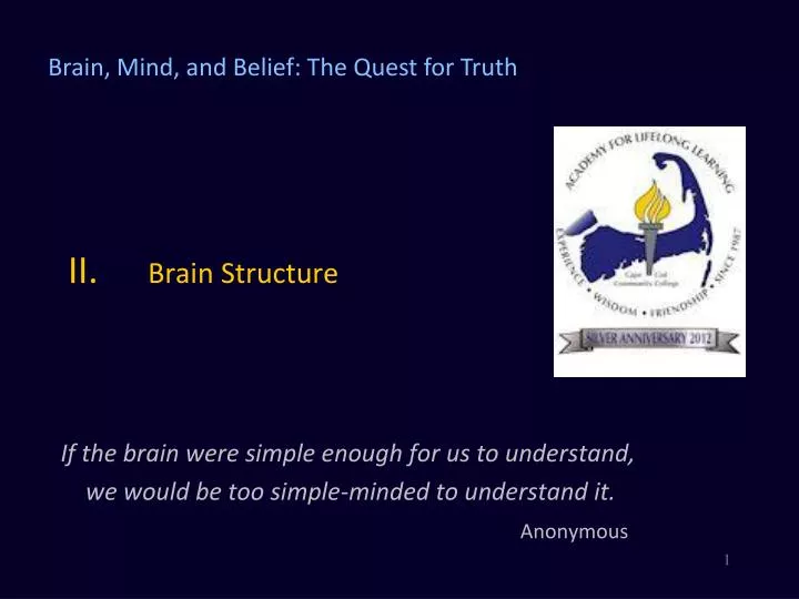 ii brain structure