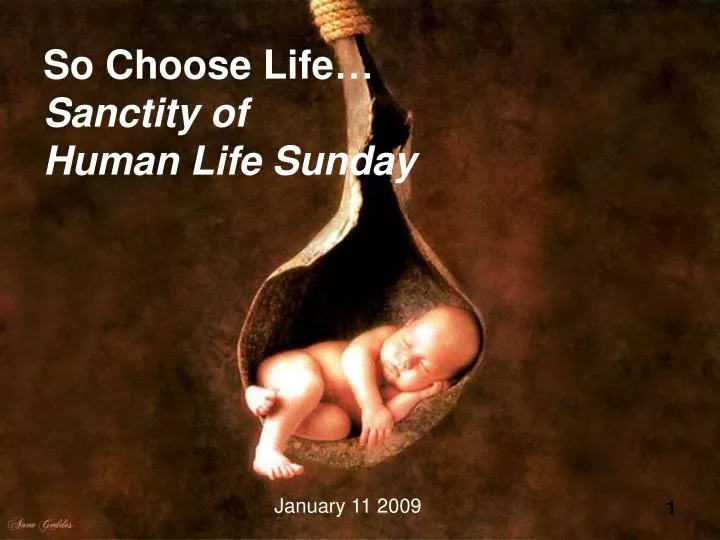 so choose life sanctity of human life sunday