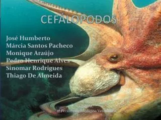 cef lopodos