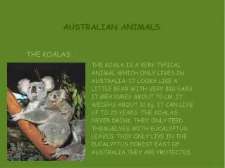 AUSTRALIAN ANIMALS