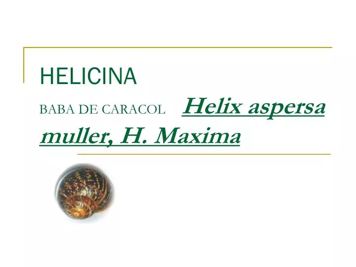 helicina baba de caracol helix aspersa muller h maxima