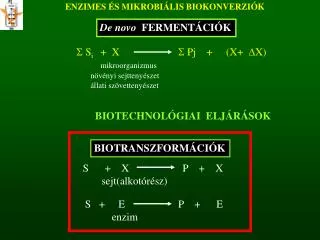 enzimes s mikrobi lis biokonverzi k