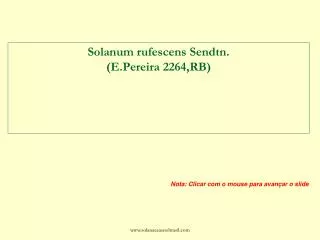 Solanum rufescens Sendtn. (E.Pereira 2264,RB)