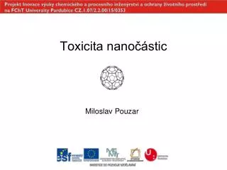 toxicita nano stic