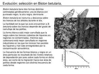 Evolución: selección en Biston betularia,