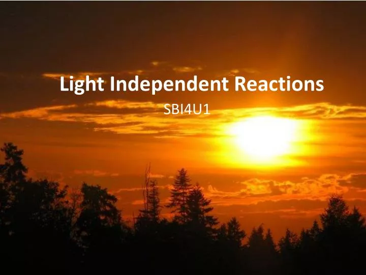 light independent reactions