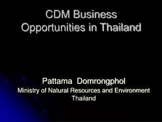 CDM Business Opportunities in Thailand