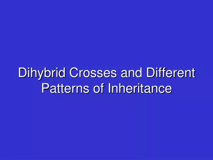 dihybrid crosses and different patterns of inheritance