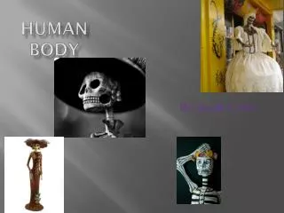 Human Body