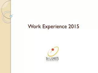 Work Experience 2015