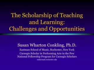 The Scholarship of Teaching and Learning: Challenges and Opportunities