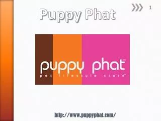 Dog Bowls - www.puppyphat.com