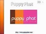 Dog Bowls - www.puppyphat.com - slide 1