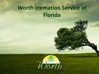 worth cremation Service in Florida