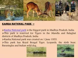 Kanha National Park in Kanha, Madhya Pradesh, India
