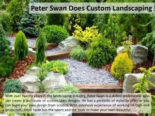 Peter Swan Does Custom Landscaping