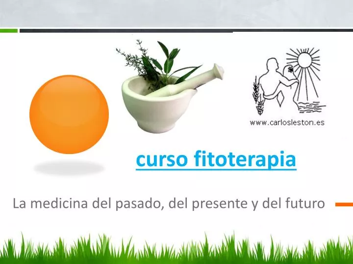 curso fitoterapia